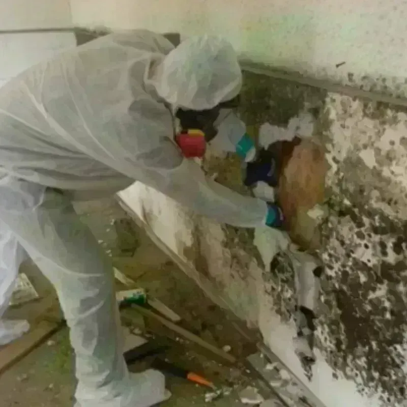 Mold Remediation and Removal in Chautauqua County, KS